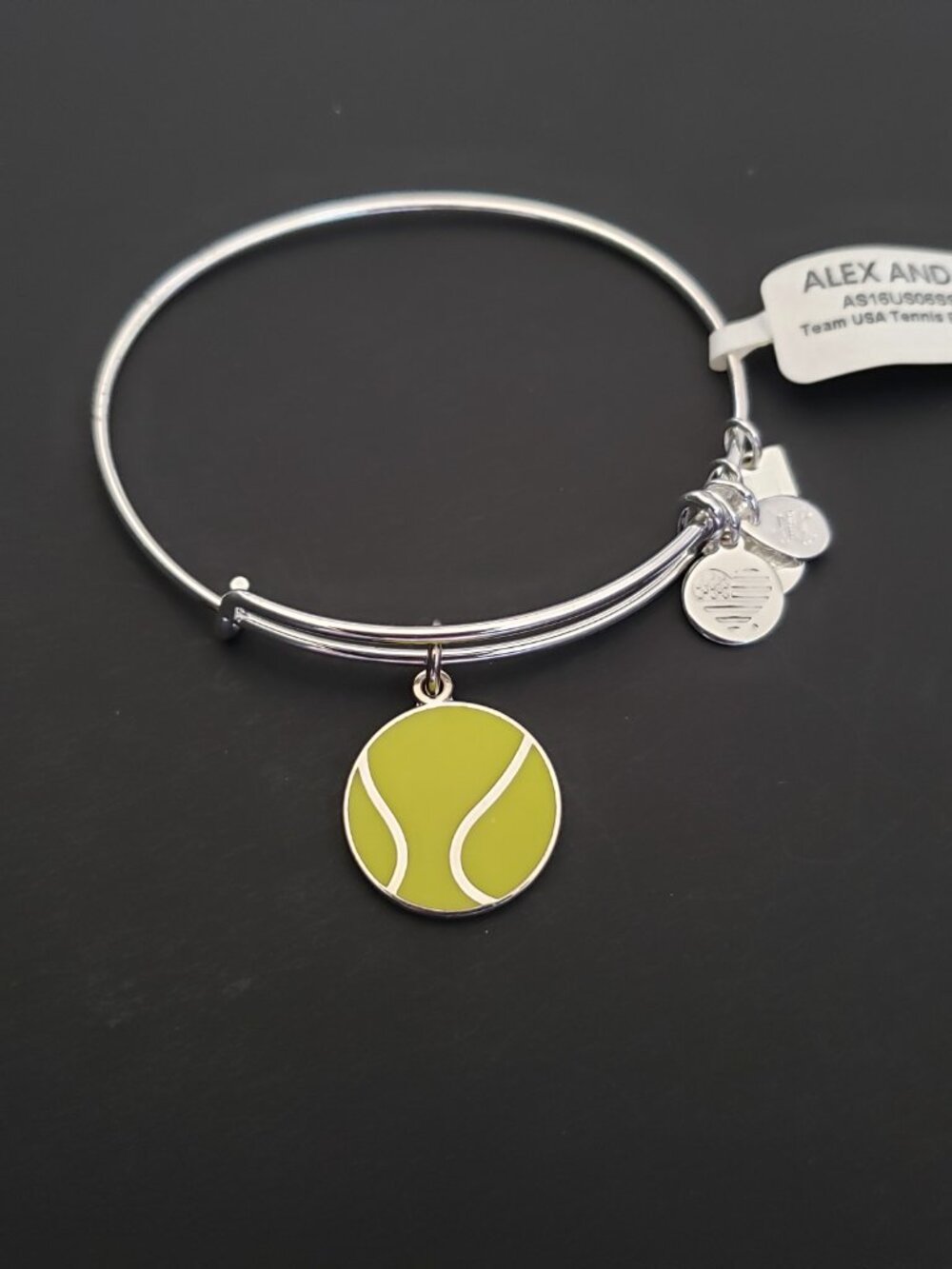 Brand new Alex & Ani Silver tennis Bangle 731